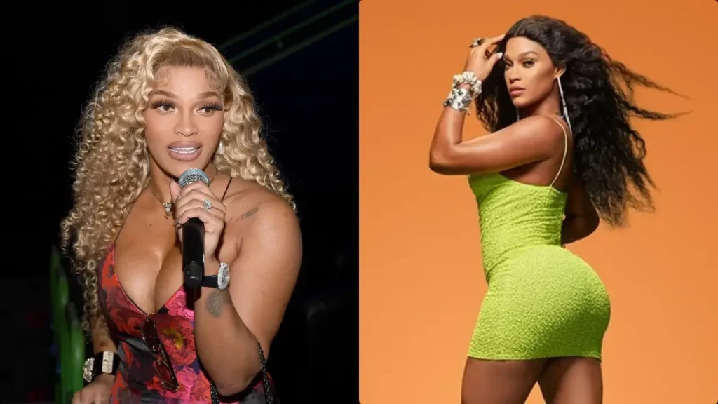 Joseline Hernandez net worth